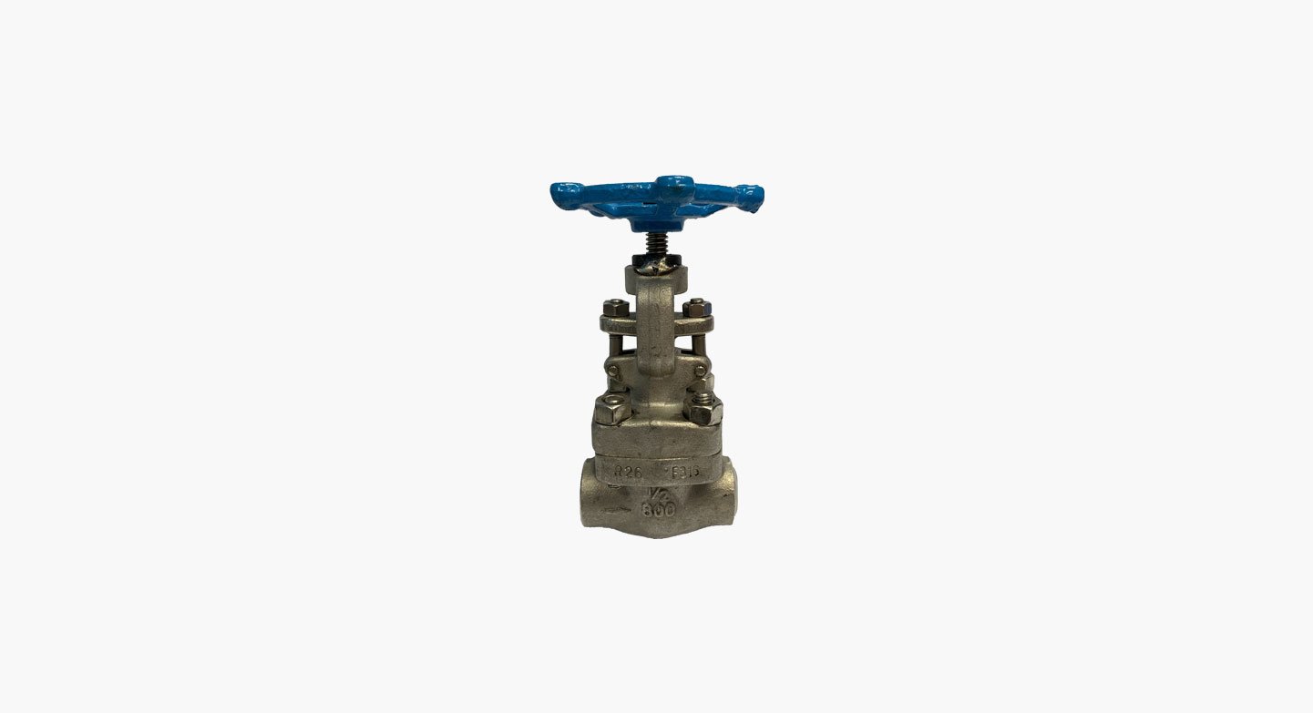 THREADED END SS316 GLOBE VALVE 800PSI