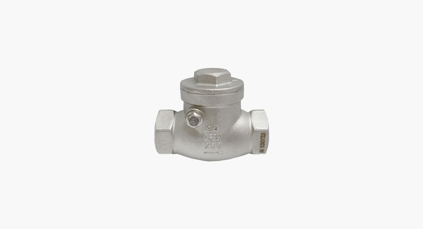 THREADED END SS316 SWING CHECK VALVE